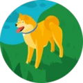 Barbara Fox Avatar